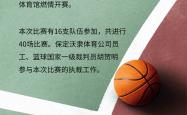 开yun体育官网入口登录体育-关于黑马崛起，实力逐渐显露，迎接挑战的信息